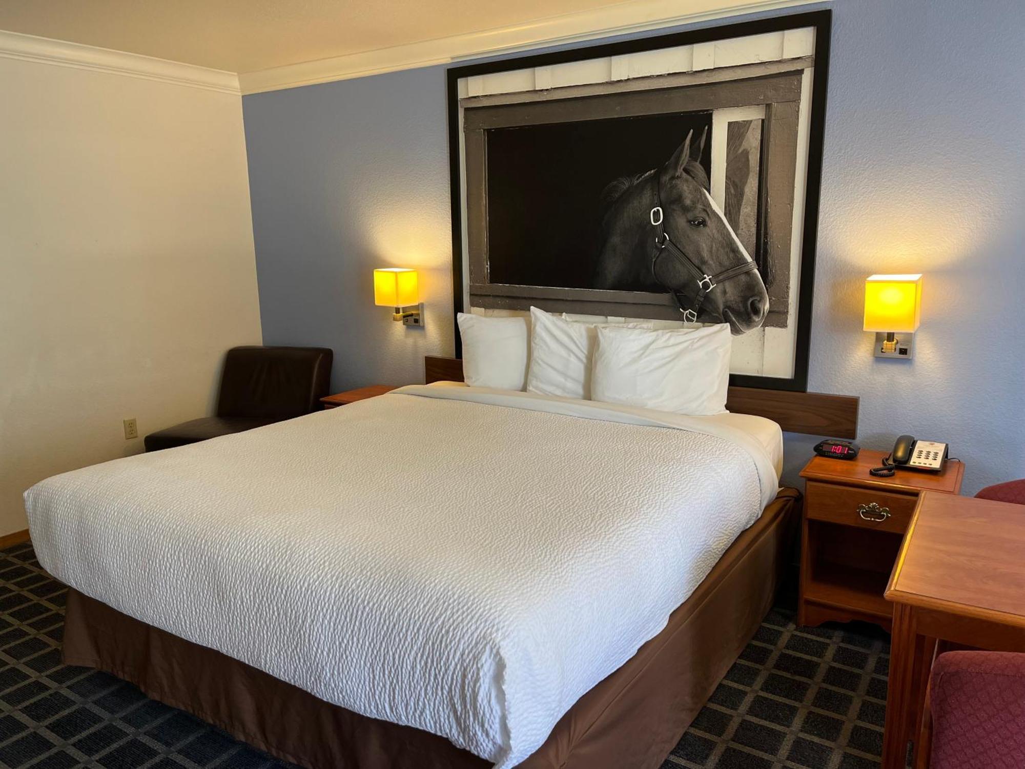 Creekside Inn & Suites Willits Bagian luar foto