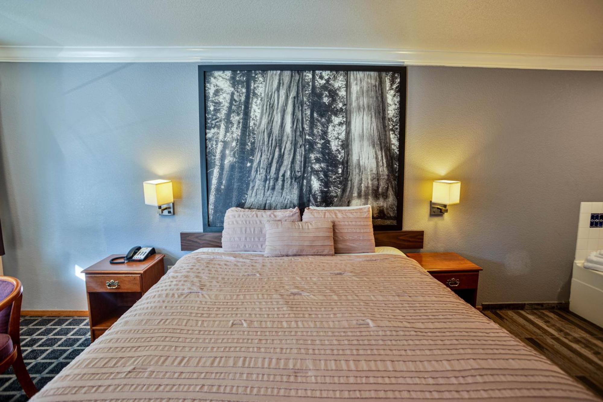 Creekside Inn & Suites Willits Bagian luar foto